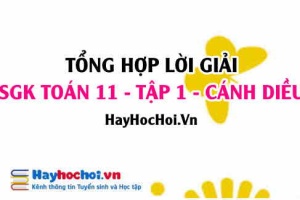 Giải Bài tập Toán 11 tập 1 SGK Cánh Diều